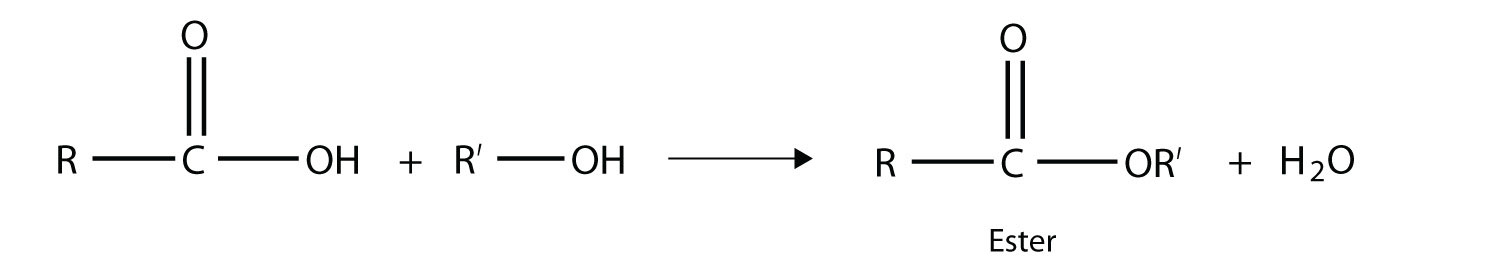 El ácido carboxílico y un alcohol reaccionan para formar un éster y agua.