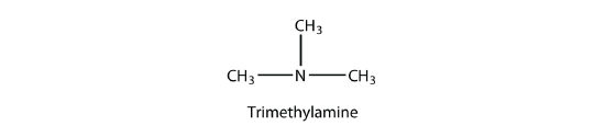 Structure of trimethylamine.