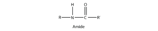 Structure of an amide.