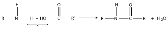 An amine reacts with a carboxylic acid  to form an amide and water.
