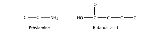 Structures of ethylamine and butanoic acid.