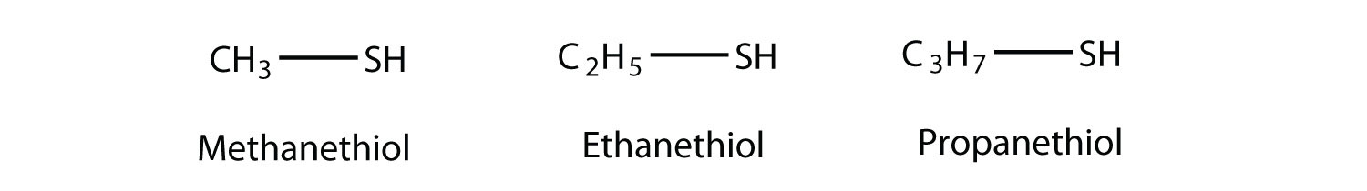Estructuras de metanotiol, etanotiol y propanetiol.