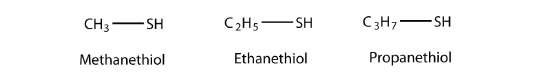 Structures of methanethiol, ethanethiol, and propanethiol.