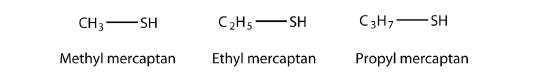 Structures of methyl mercaptan, ethyl mercaptan, and propyl mercaptan.