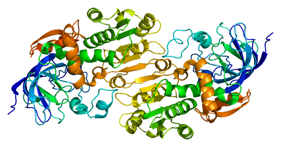 Protein_ADH5_PDB_1m6h.png