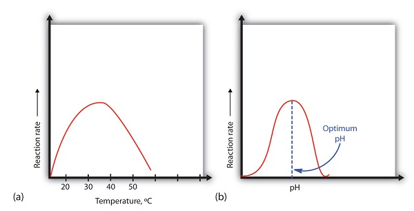 Ph Variation With Temperature Chart