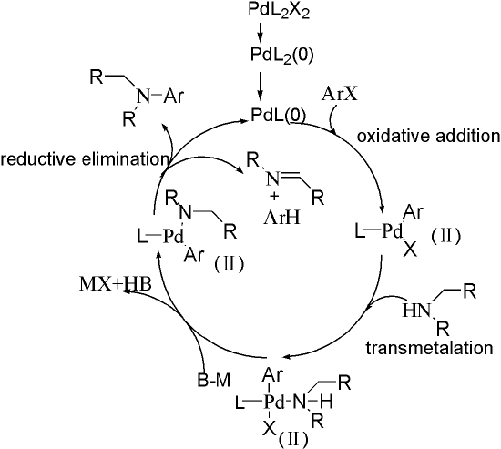 1 Catalytic Cycle.png