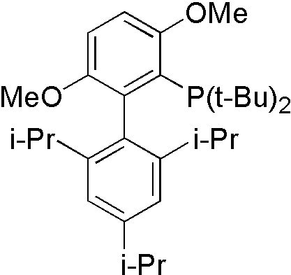 Figure 5 Structure of tBuBrettphos.png