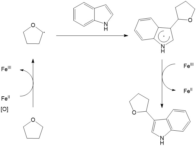 Figure8.jpg