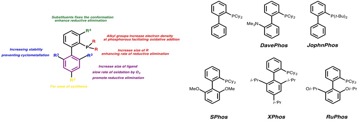 ligand chemistry examples and principles designing dialkylbiaryl 2 figure representative ligands ligand chemistry examples and principles designing dialkylbiaryl 2 figure representative ligands