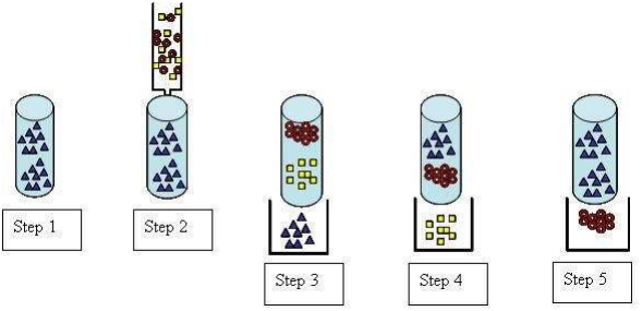 5 Step Process.png