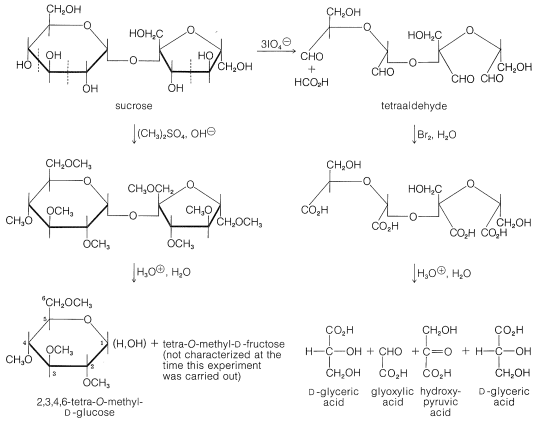 20.7: Disaccharides - Chemistry LibreTexts